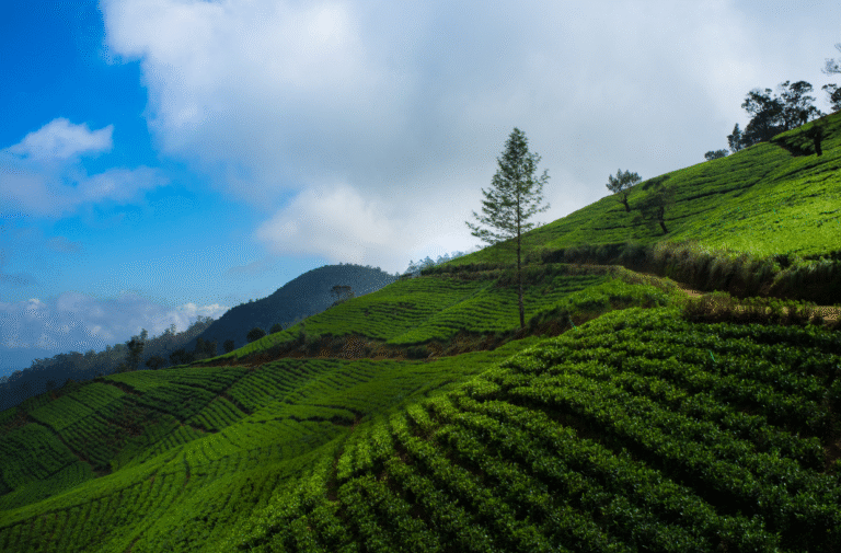 The Hill Country Trail: A 6-Day Escape 21