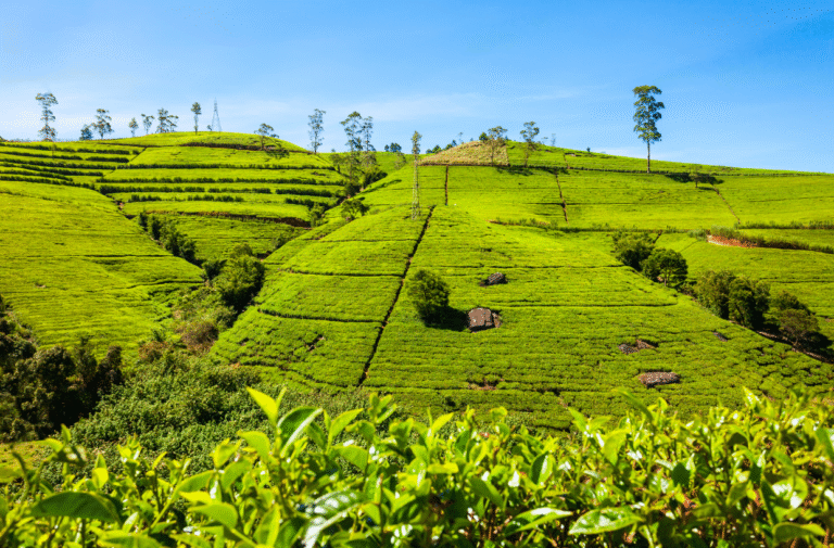 The Hill Country Trail: A 6-Day Escape 22